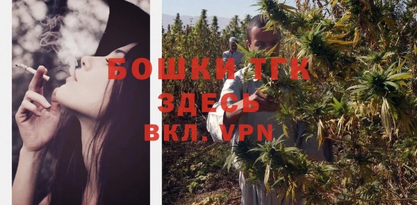 ECSTASY Новозыбков