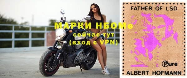 ECSTASY Новозыбков