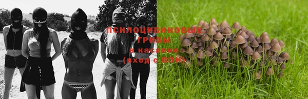стафф Болхов