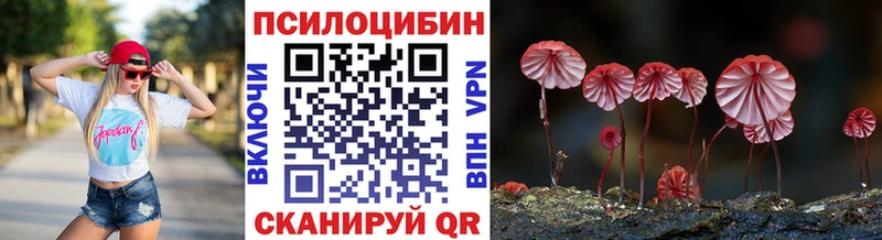 блэк спрут ссылки  наркотики  Богородск  Псилоцибиновые грибы мицелий 