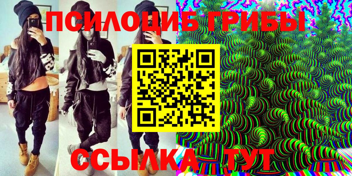 Псилоцибиновые грибы Psilocybe Богородск