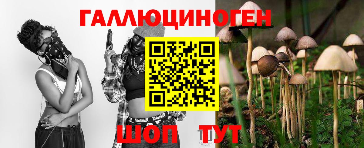 Галлюциногенные грибы MAGIC MUSHROOMS  Богородск 